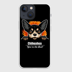 Чехол для iPhone 13 mini с принтом Чихуахуа (Chihuahua) ,  |  | animal | chihuahua | dog | год собаки | друг человека | животное | зверь | карликовая собачка | карманная собачка | кинолог | маленькая собака | пёс | пёсик | собака чихуахуа | собаковод | четвероногий