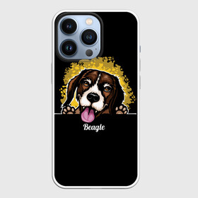 Чехол для iPhone 13 Pro с принтом Бигль (Beagle) ,  |  | animal | beagle | dog | hunting dog | бигль | год собаки | гончая собака | друг человека | животное | зверь | кинолог | охотничья собака | пес | порода собак | собака бигль | собаковод | собачка | хищник