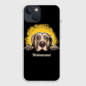 Чехол для iPhone 13 с принтом Веймаранер (Weimaraner) ,  |  | animal | dog | hunting dog | weimaraner | веймаранер | веймарская овчарка | год собаки | друг человека | животное | зверь | кинолог | легавая | охотничья собака | пёс | порода собак | собака | собака веймаранер