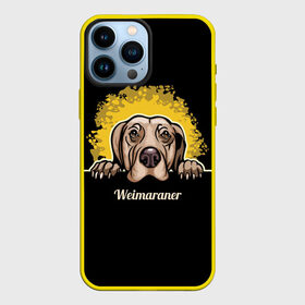 Чехол для iPhone 13 Pro Max с принтом Веймаранер (Weimaraner) ,  |  | animal | dog | hunting dog | weimaraner | веймаранер | веймарская овчарка | год собаки | друг человека | животное | зверь | кинолог | легавая | охотничья собака | пёс | порода собак | собака | собака веймаранер