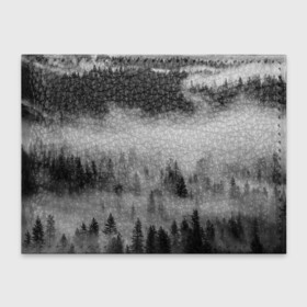 Обложка для студенческого билета с принтом ТУМАННЫЙ ЛЕС | FOREST , натуральная кожа | Размер: 11*8 см; Печать на всей внешней стороне | Тематика изображения на принте: forest | деревья | дым | лес | мрачный лес | природа | туман