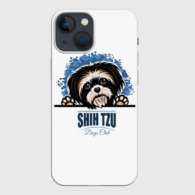 Чехол для iPhone 13 mini с принтом Ши Тцу (Shih Tzu) ,  |  | animal | dog | год собаки | друг человека | животное | зверь | кинолог | красавица | милашка | пёс | пёсик | порода собак | собака | собака лев | собака ши тцу | собаковод | собачка хризантема | четвероногий