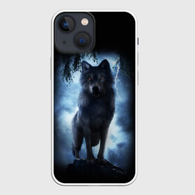 Чехол для iPhone 13 mini с принтом ВОЛК БРОДЯГА ,  |  | animals | dark | gray | hunter | night | wolf | бродяга | волк | животные | звери | ночь | одиночка | охотник | серый | хищник