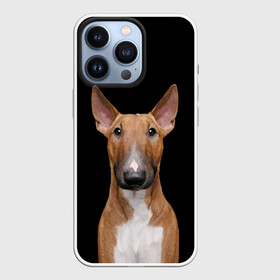 Чехол для iPhone 13 Pro с принтом Строгий смелый взгляд ,  |  | bull terrier | dog | ears | eyes | muzzle | view | бультерьер | взгляд | глаза | пёс | собака | уши