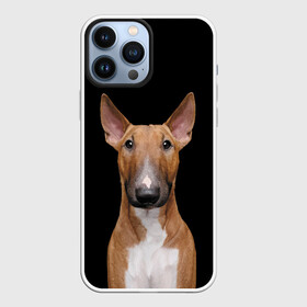 Чехол для iPhone 13 Pro Max с принтом Строгий смелый взгляд ,  |  | bull terrier | dog | ears | eyes | muzzle | view | бультерьер | взгляд | глаза | пёс | собака | уши