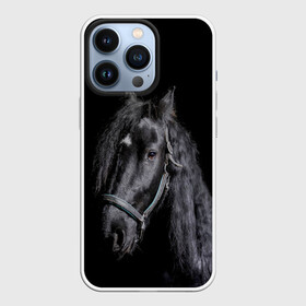 Чехол для iPhone 13 Pro с принтом Лошадь на черном фоне ,  |  | Тематика изображения на принте: восход | животные | закат | звери | кони | конь | коняшка | лошади | лошадка | лошадь | на восходе | на закате | пони | природа | солнце