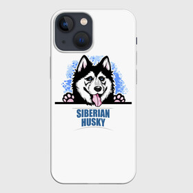 Чехол для iPhone 13 mini с принтом Сибирский Хаски (Siberian Husky) ,  |  | ani | dog | husky | siberian husky | wolf | аляскинский маламут | волк | год собаки | друг человека | ездовая собака | животное | зверь | ищейка | кинолог | кость | лайка | пёс | сибирский хаски | сибирь | собака