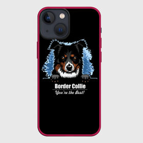 Чехол для iPhone 13 mini с принтом Бордер Колли (Border Collie) ,  |  | Тематика изображения на принте: animal | border collie | dog | бордер колли | год собаки | друг человека | животное | зверь | ищейка | кинолог | кость | овчарка | пастушья собака | пёс | порода собак | собака бордер колли | собаковод