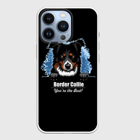 Чехол для iPhone 13 Pro с принтом Бордер Колли (Border Collie) ,  |  | animal | border collie | dog | бордер колли | год собаки | друг человека | животное | зверь | ищейка | кинолог | кость | овчарка | пастушья собака | пёс | порода собак | собака бордер колли | собаковод