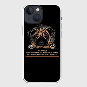 Чехол для iPhone 13 mini с принтом Собака Мопс ,  |  | bulldog | pug | pug dog | pug puppies | бульдог | год собаки | друг человека | дружные мопсы | дядя мопс | животное | зверь | кинолог | мопс | пёс | порода собак | собака боксёр | собака мопс | собаковод | четвероногий