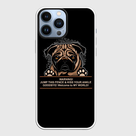 Чехол для iPhone 13 Pro Max с принтом Собака Мопс ,  |  | bulldog | pug | pug dog | pug puppies | бульдог | год собаки | друг человека | дружные мопсы | дядя мопс | животное | зверь | кинолог | мопс | пёс | порода собак | собака боксёр | собака мопс | собаковод | четвероногий