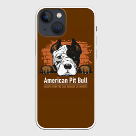 Чехол для iPhone 13 mini с принтом Американский Питбультерьер (Pit Bull Terrier) ,  |  | american pit bull terrier | boxer | bulldog | fighting dog | pit bull | американский питбультерьер | бойцовская собака | бойцовский пес | боксер | бульдог | волкодав | друг человека | кинолог | пес | питбуль | питбультерьер