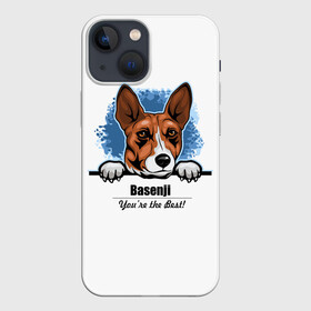 Чехол для iPhone 13 mini с принтом Собака Басенджи ,  |  | Тематика изображения на принте: african dog | animal | basenji | congo terrier | dog | африканская собака | басенджи | год собаки | друг человека | животное | зверь | кинолог | конго терьер | пёс | собака басенджи | собаковод | четвероногий