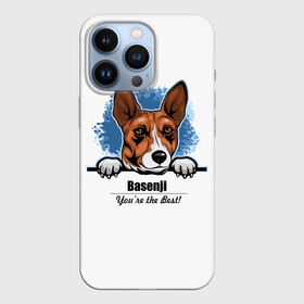 Чехол для iPhone 13 Pro с принтом Собака Басенджи ,  |  | Тематика изображения на принте: african dog | animal | basenji | congo terrier | dog | африканская собака | басенджи | год собаки | друг человека | животное | зверь | кинолог | конго терьер | пёс | собака басенджи | собаковод | четвероногий