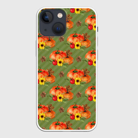 Чехол для iPhone 13 mini с принтом Овощи: Тыквы паттерн ,  |  | грядка | овощи | огород | тыква | тыквы