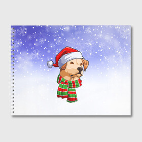 Альбом для рисования с принтом Новогодний Лабрадор   New Years Labrador , 100% бумага
 | матовая бумага, плотность 200 мг. | christmas | dog | labrador | retriever | santa | дед мороз | зима | лабрадор | новый год | ретривер | рождество | санта | снег | снежинка | собака | собачка | щенок