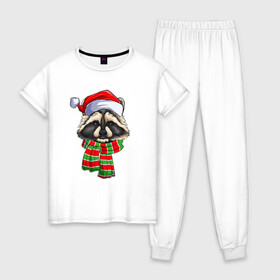 Женская пижама хлопок с принтом Енот Санта Клаус , 100% хлопок | брюки и футболка прямого кроя, без карманов, на брюках мягкая резинка на поясе и по низу штанин | christmas | santa | дед мороз | енот | зима | новый год | рождество | санта | снег | снежинка