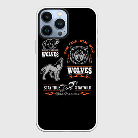 Чехол для iPhone 13 Pro Max с принтом Wolves ,  |  | gray wolf | predator | the beast | volkolak | wolf | wolfhound | волк | волкодав | волколак | волчара | вурдалак | зверь | зов волка | морской волк | оборотень | оскал | рисунок волка | санитар леса | серый волк | хищник