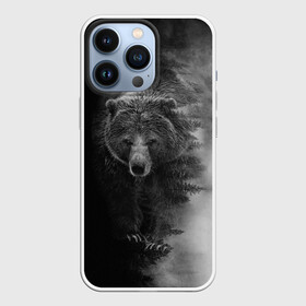 Чехол для iPhone 13 Pro с принтом EVIL BEAR ,  |  | животное | зверь | злой медведь | злой хищник | лес | оскал медведя | охота | охотник | подарок мужчине | природа | тайга