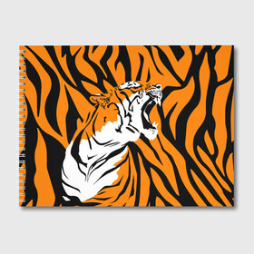 Альбом для рисования с принтом Тигровый окрас , 100% бумага
 | матовая бумага, плотность 200 мг. | 2022 | aggressive | brindle color | fangs | in profile | new year | open mouth | predator | tiger | year of the tiger | агрессивный | в профиль | год тигра | клыки | новый год | открытая пасть | тигр | тигровый окрас | хищник