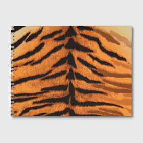 Альбом для рисования с принтом ТИГРИНАЯ ШКУРА , 100% бумага
 | матовая бумага, плотность 200 мг. | 2022 | christmas | merry | new | tiger | year | год | животные | новый | рождество | текструа | тигр | тигра | тигриная | тигровая | шерсть