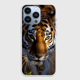 Чехол для iPhone 13 Pro с принтом Большой сильный тигр ,  |  | tiger | животные | звири | кошка | кошки | крупная кошка | природа | тигр