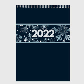 Скетчбук с принтом Новый Год 2022 (Снегопад) , 100% бумага
 | 48 листов, плотность листов — 100 г/м2, плотность картонной обложки — 250 г/м2. Листы скреплены сверху удобной пружинной спиралью | 2022 | зима | новый год | новый год 2022 | снег | снежинки