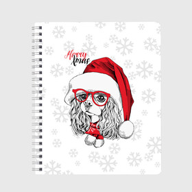 Тетрадь с принтом Happy Christmas кокер спаниель , 100% бумага | 48 листов, плотность листов — 60 г/м2, плотность картонной обложки — 250 г/м2. Листы скреплены сбоку удобной пружинной спиралью. Уголки страниц и обложки скругленные. Цвет линий — светло-серый
 | american | cap | christmas | cocker spaniel | happy christmas | knitted scarf | new year | purebred dog | red | santa claus | snowflakes | американский | вязаный шарф | кокер спаниель | колпак | красные | новый год | очки | породистая собака | р