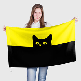 Флаг 3D с принтом Котик (голова кота) , 100% полиэстер | плотность ткани — 95 г/м2, размер — 67 х 109 см. Принт наносится с одной стороны | cat | голова кота | для девушек | животное | кот | котик | подарок