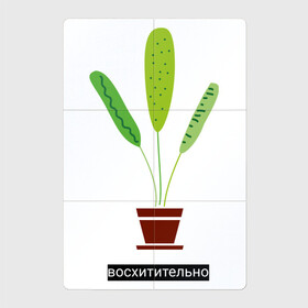 Магнитный плакат 2Х3 с принтом Растение в горшке Восхитительно , Полимерный материал с магнитным слоем | 6 деталей размером 9*9 см | дом | интерьер | листья | растение | растение в горшке | уют | флора | цветок