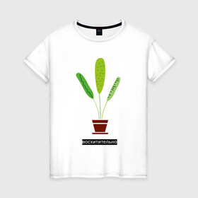 Женская футболка хлопок с принтом Растение в горшке Восхитительно , 100% хлопок | прямой крой, круглый вырез горловины, длина до линии бедер, слегка спущенное плечо | дом | интерьер | листья | растение | растение в горшке | уют | флора | цветок