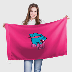 Флаг 3D с принтом Mr Beast Gaming Full Print (Pink edition) , 100% полиэстер | плотность ткани — 95 г/м2, размер — 67 х 109 см. Принт наносится с одной стороны | gamer | games | gaming | mr beast | mrbeast | youtube | блогеры | игры | мистер бист | ютуберы