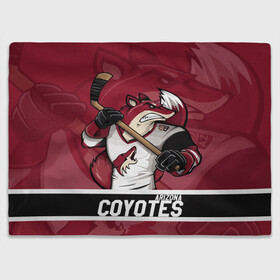 Плед 3D с принтом Аризона Койотис Arizona Coyotes , 100% полиэстер | закругленные углы, все края обработаны. Ткань не мнется и не растягивается | arizona | arizona coyotes | coyotes | hockey | nhl | usa | аризона | аризона койотис | койотис | нхл | спорт | сша | феникс | финикс койотс | хоккей | шайба