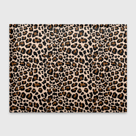 Обложка для студенческого билета с принтом Леопардовые Пятна , натуральная кожа | Размер: 11*8 см; Печать на всей внешней стороне | jaguar | leopard | ocelot | predator | гепард | дикая кошка | животное | зверь | кот | леопард | леопардовые пятна | оцелот | хищная кошка | хищник | ягуар