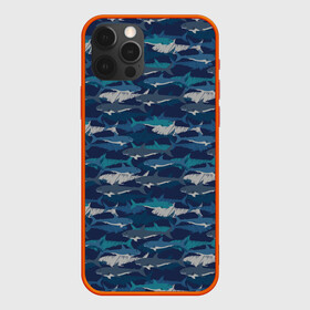 Чехол для iPhone 12 Pro с принтом Хищные Акулы , силикон | область печати: задняя сторона чехла, без боковых панелей | fish | ocean | predator | shark | white shark | акула | белая акула | зубы | море | морской хищник | океан | рыба | хищная рыба | хищник