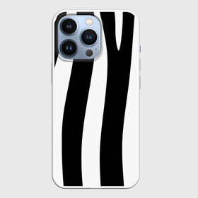 Чехол для iPhone 13 Pro с принтом ZeBRO ,  |  | зебра | пестрый | полосатый | узор | черно белое