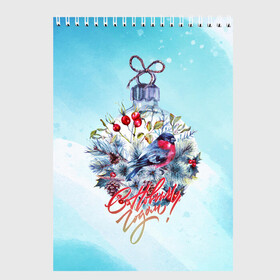 Скетчбук с принтом Снегири! , 100% бумага
 | 48 листов, плотность листов — 100 г/м2, плотность картонной обложки — 250 г/м2. Листы скреплены сверху удобной пружинной спиралью | new year | арт | графика | зима | новый год | рождество | снегири | шарик