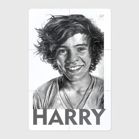 Магнитный плакат 2Х3 с принтом Harry  Styles , Полимерный материал с магнитным слоем | 6 деталей размером 9*9 см | Тематика изображения на принте: harry edward styles | британец | бритпопо | гарри стайлс | дирекшин | дирекшины