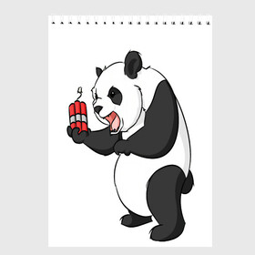 Скетчбук с принтом Взрывная панда , 100% бумага
 | 48 листов, плотность листов — 100 г/м2, плотность картонной обложки — 250 г/м2. Листы скреплены сверху удобной пружинной спиралью | bomb | dinamit | panda | бомба | динамит | животное | панда