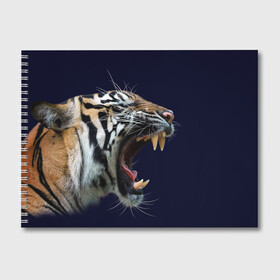 Альбом для рисования с принтом Оскал тигра | Большая кошка , 100% бумага
 | матовая бумага, плотность 200 мг. | 2022 | big teeth | fangs | grin | tiger | tigr | tigris | большая кошка | большие зубы | клыки | новый год | оскалиться | острые клыки | полосатая кошка | скалить | скалить зубы | тигр