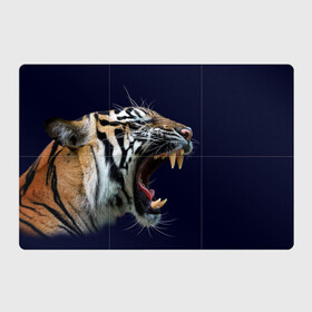 Магнитный плакат 3Х2 с принтом Оскал тигра | Большая кошка , Полимерный материал с магнитным слоем | 6 деталей размером 9*9 см | 2022 | big teeth | fangs | grin | tiger | tigr | tigris | большая кошка | большие зубы | клыки | новый год | оскалиться | острые клыки | полосатая кошка | скалить | скалить зубы | тигр