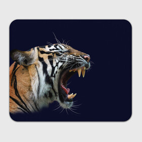 Прямоугольный коврик для мышки с принтом Оскал тигра | Большая кошка , натуральный каучук | размер 230 х 185 мм; запечатка лицевой стороны | 2022 | big teeth | fangs | grin | tiger | tigr | tigris | большая кошка | большие зубы | клыки | новый год | оскалиться | острые клыки | полосатая кошка | скалить | скалить зубы | тигр