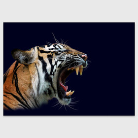 Поздравительная открытка с принтом Оскал тигра | Большая кошка , 100% бумага | плотность бумаги 280 г/м2, матовая, на обратной стороне линовка и место для марки
 | 2022 | big teeth | fangs | grin | tiger | tigr | tigris | большая кошка | большие зубы | клыки | новый год | оскалиться | острые клыки | полосатая кошка | скалить | скалить зубы | тигр
