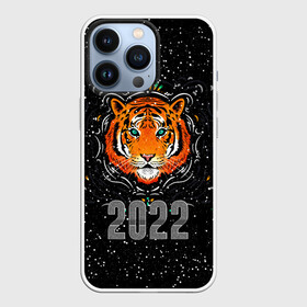Чехол для iPhone 13 Pro с принтом Голова Тигра Символ 2022 ,  |  | Тематика изображения на принте: 2022 | black | cat | christmas | merry | new year | tiger | xmas | водяной | год тигра | животные | кот | кошки | новый год | паттерн | полосатый | рождество | снег | снежинки | тигры | узор | цветы | черный