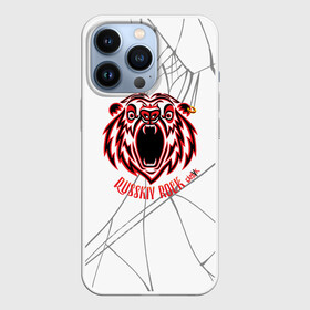 Чехол для iPhone 13 Pro с принтом Бардак  Русский рок с паутиной ,  |  | бакдак | паук | паутина | рок | рок группа | русский рок