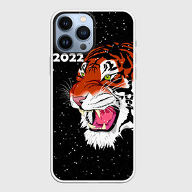 Чехол для iPhone 13 Pro Max с принтом Рычащий Тигр и Снегопад 2022 ,  |  | 2022 | black | cat | christmas | merry | new year | snow | tiger | xmas | водяной | год тигра | животные | кот | кошки | новый год | паттерн | полосатый | рождество | снег | снежинки | тигры | узор | цветы | черный