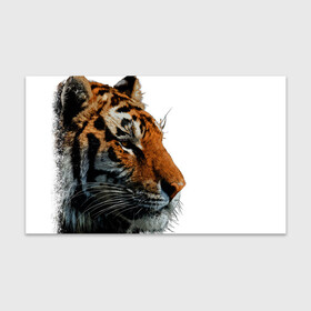 Бумага для упаковки 3D с принтом ДУХ ДИКОЙ СИБИРИ , пластик и полированная сталь | круглая форма, металлическое крепление в виде кольца | 2022 | amur tiger | beast | fangs | happy new year | merry christmas | new year | predator | snow | stars | stern grin | stern look | winter | year of the tiger | амурский тигр | год тигра | дух | зверь | зима | клыки | новый год | сибирь | снег