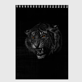 Скетчбук с принтом Tiger 2022! , 100% бумага
 | 48 листов, плотность листов — 100 г/м2, плотность картонной обложки — 250 г/м2. Листы скреплены сверху удобной пружинной спиралью | animal | арт | большие кошки | графика | животные | звери | тигр