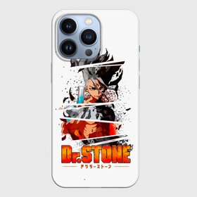 Чехол для iPhone 13 Pro с принтом Химия Сэнку Доктор Стоун ,  |  | anime | dr stone | dr stone stone wars | e  mc2 | manga | senku | senkuu ishigami | аниме | вождь деревни исигами | десять миллиардов процентов | доктор камень | доктор стоун | докута сутон | исигами сенку | исигами сэнку | манга