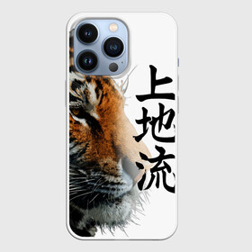 Чехол для iPhone 13 Pro с принтом ТИГР | НАДПИСЬ НА КИТАЙСКОМ ,  |  | 2022 | chinese character | framed | new year | ornament | powerful | strong | tiger | year of the tiger | yellow look | амурски | год тигра | дикий | жёлтый взгляд | китайский иероглиф | мощный | надпись на китайском | новый год | орнамент 